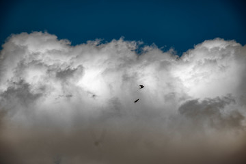 clouds in the sky