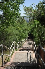 Cobbled stairs leading down into the green park