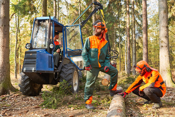 Lumberjack at the tree fell with forwarder