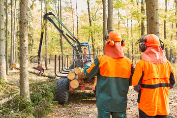 Forest workers watch forwarder with crane