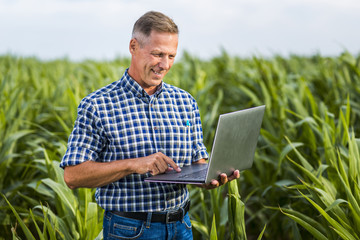 Smiley agronomist using a laptop