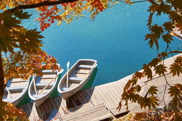 Vibrant autumn colors (foliage) at Goshiki-numa five colour pond. Row boat at port, Urabandai, Fukushima Prefecture, Japan