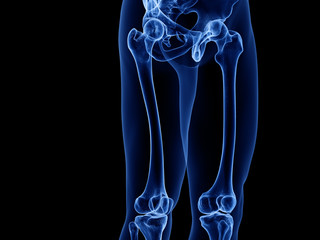 3d rendered medically accurate illustration of the upper leg bones