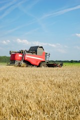 Obraz premium Roter Mähdrescher beim dreschen eines Getreidefeldes