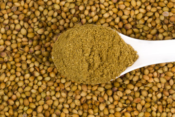 Coriander powder with coriander seeds.