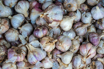 Background with white and purple dirty garlic with imperfections