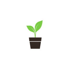 Young green sprout in a pot simple vector colorful icon. New plant in a pot 
