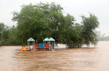 Flooded area near river