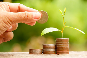 save money for investment concept plant growing out of coins