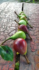 Close-up row of ripe red-green pears lie on an old peeling bench, selective focus