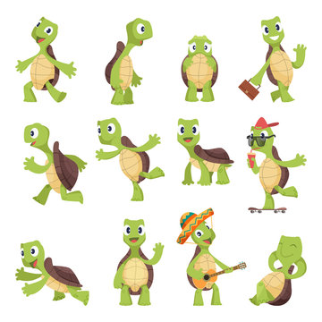 Cartoon turtles. Happy funny animals running tortoise vector collection. Illustration of turtle friendly, tortoise active and energetic