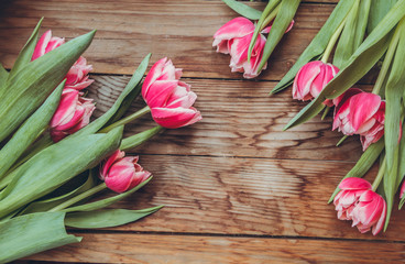 Tulips lie on a wooden table. Close-up. Pink tulips. Raspberry flowers.