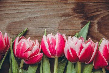 Tulips lie on a wooden table. Close-up. Pink tulips. Raspberry flowers.