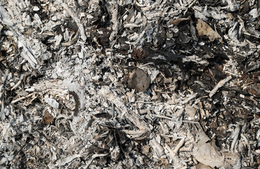 Image of wooden ashes on the ground under bright sunlight. The natural art background. 