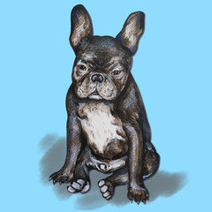 Illustration dog watercolor french bulldog on white background