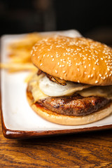 Delicious burger with fries on white plate