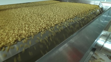 Pasta factory and pasta production stages. Close up of dry macaroni spilling from machine unit on modern food production factory. Conveyor line for macaroni production. Pasta Factory at Work