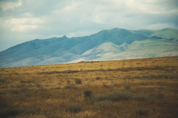 ara mountain in armenia © Vahe