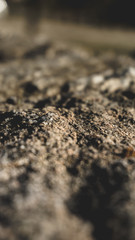 closeup of soil