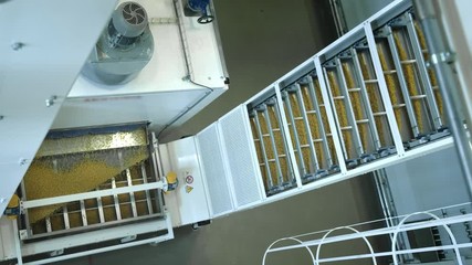 Pasta factory and pasta production stages. Close up of dry macaroni spilling from machine unit on modern food production factory. Conveyor line for macaroni production. Pasta Factory at Work