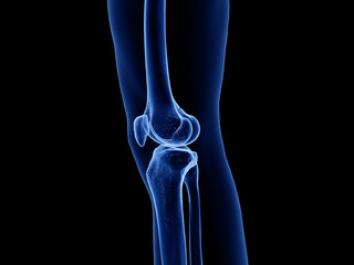 3d rendered medically accurate illustration of the healthy knee joint