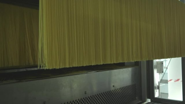 Pasta factory and pasta production stages. Close up of dry macaroni spilling from machine unit on modern food production factory. Conveyor line for macaroni production. Pasta Factory at Work