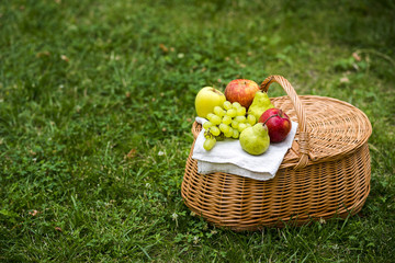 High angle picnic basket with fruit