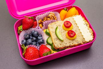 School lunch box