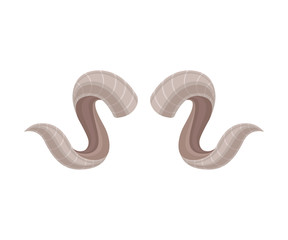 Fototapeta premium Curved horns of a ram. Vector illustration on white background.