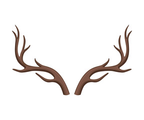 Branched antlers of a deer. Vector illustration on white background.