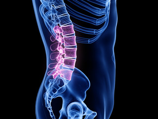 3d rendered medically accurate illustration of the lumbar spine