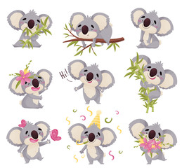 Set of images of koalas. Vector illustration on white background.