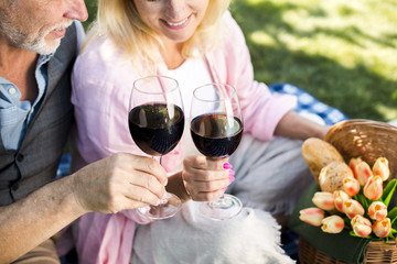 Lovely couple toasting angle view