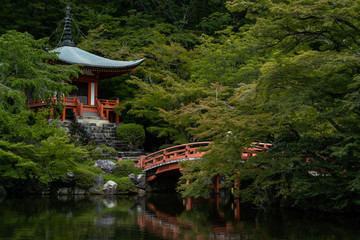 京都　醍醐寺　夏の新緑景色