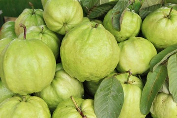 Guava fruit is delicious at street food