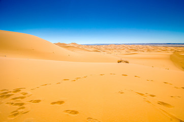 Fototapeta na wymiar Famous dunes Erg Chebbi in Morocco, near Merzouga