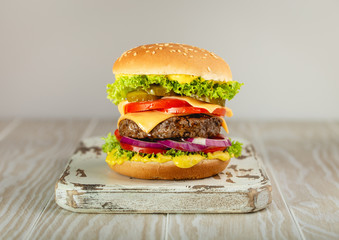 Fresh tasty burger