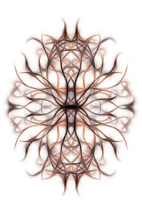 Ornamental mandala and fractal effect on black background.