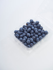 Fresh blueberry, concepts for healthy food