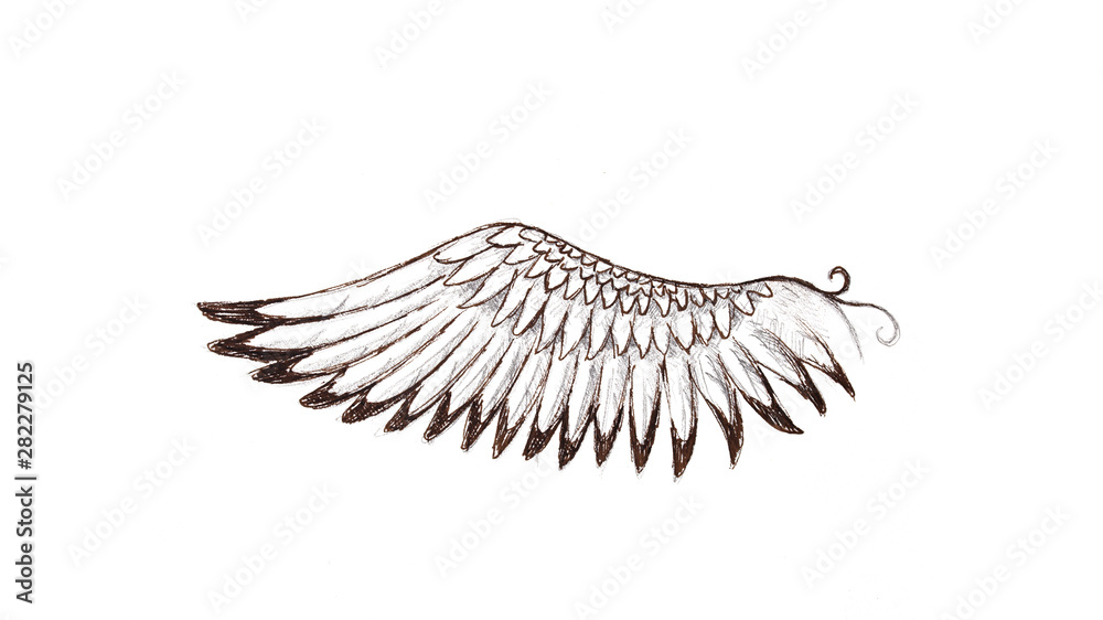 Poster bird feathers on white background. Original drawing and computer effect.