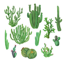 watercolor painting big set with hand drawn cactus garden elements