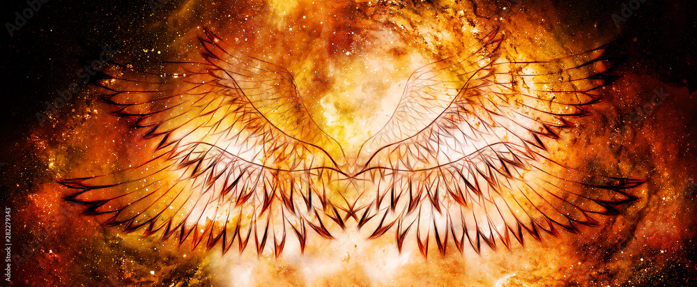 Poster bird feathers in cosmic background. Original drawing and computer effect.