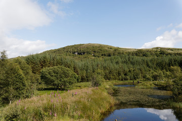 Fototapeta na wymiar Highland titles nature reserve - Glencoe, Scotland, UK