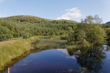 Fototapeta na wymiar Highland titles nature reserve - Glencoe, Scotland, UK