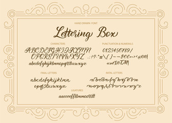 Cute hand drawn vintage vector alphabet ABC font with letters, numbers, symbols. For calligraphy, lettering, hand made quotes.