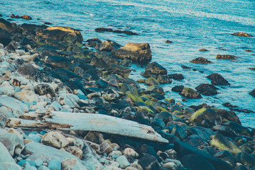 Rhode Island ocean rocks at sunset