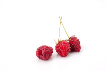 ripe raspberries isolated on white background close up