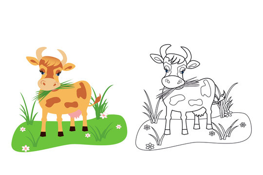 coloring book for kids, cow, vector illustration