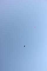 Parachuting at Playa del Ingles