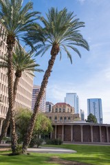 daily street scene in phoenix arizona, glass skyscrapers and palm trees on a sunny blue day at local square in downtown